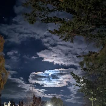 Dusky evening, light cloud, moonscape.